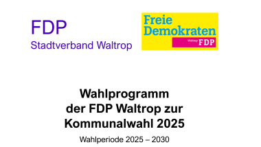 Screenshot Wahlprogramm